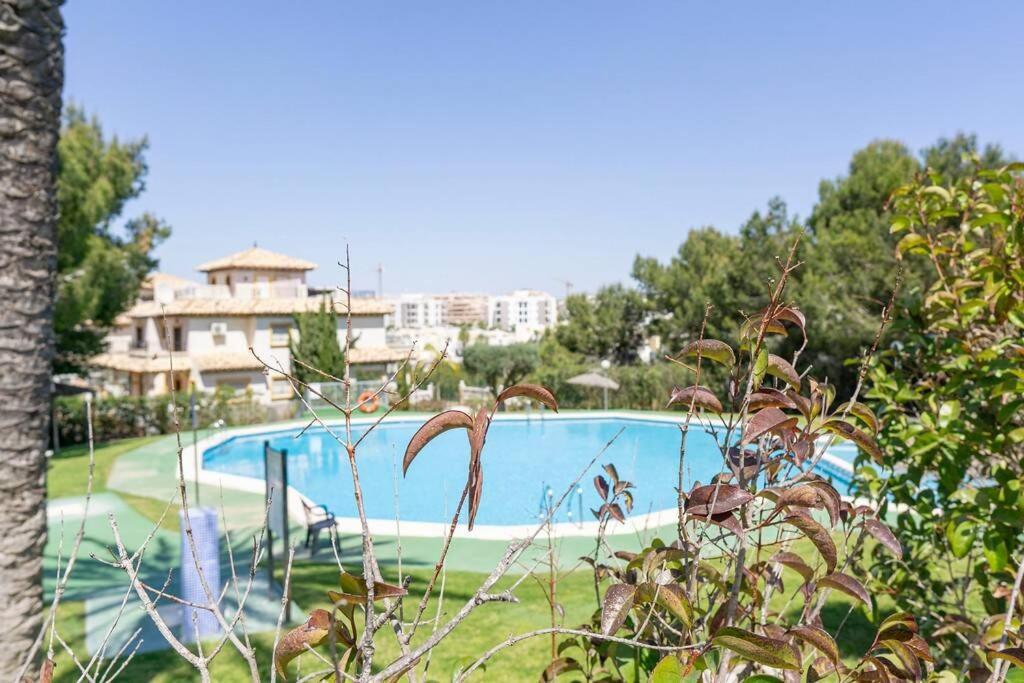 Casa Lilly-Rose, A Beautiful 3 Bedroom Detached Villa A Short Walk To The Villamartin Plaza & Golf Course Exterior photo